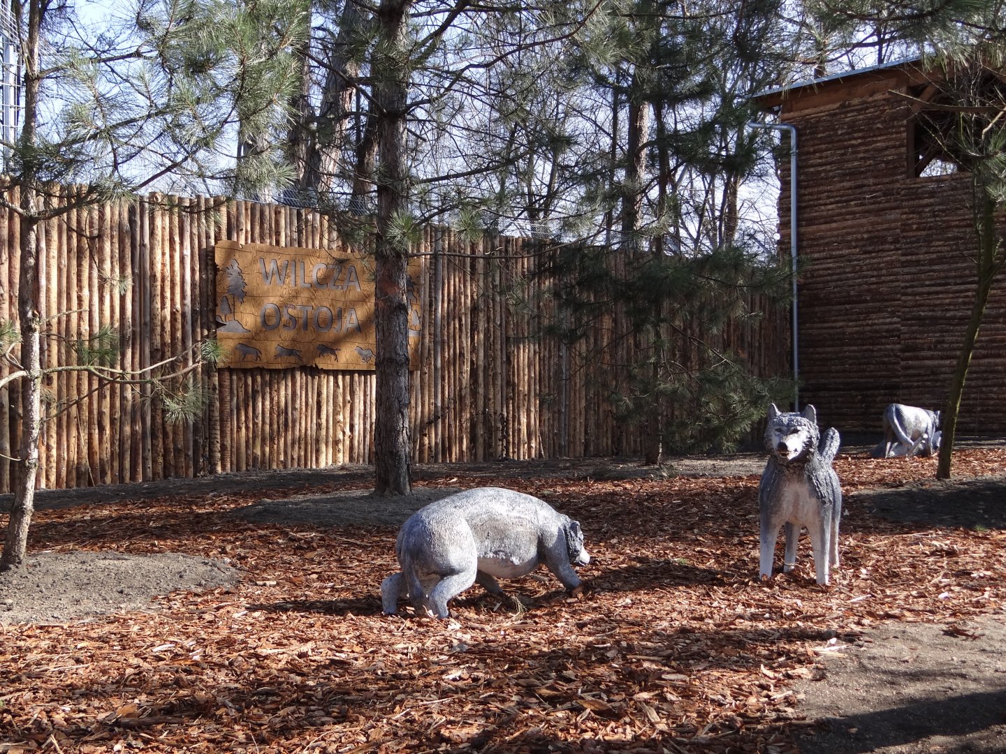 At new wolf enclosure