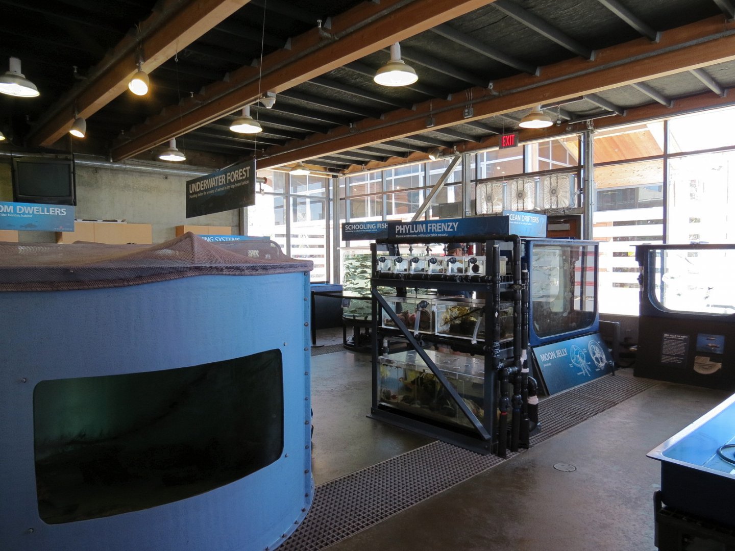 At Sea Building - Live Exhibits