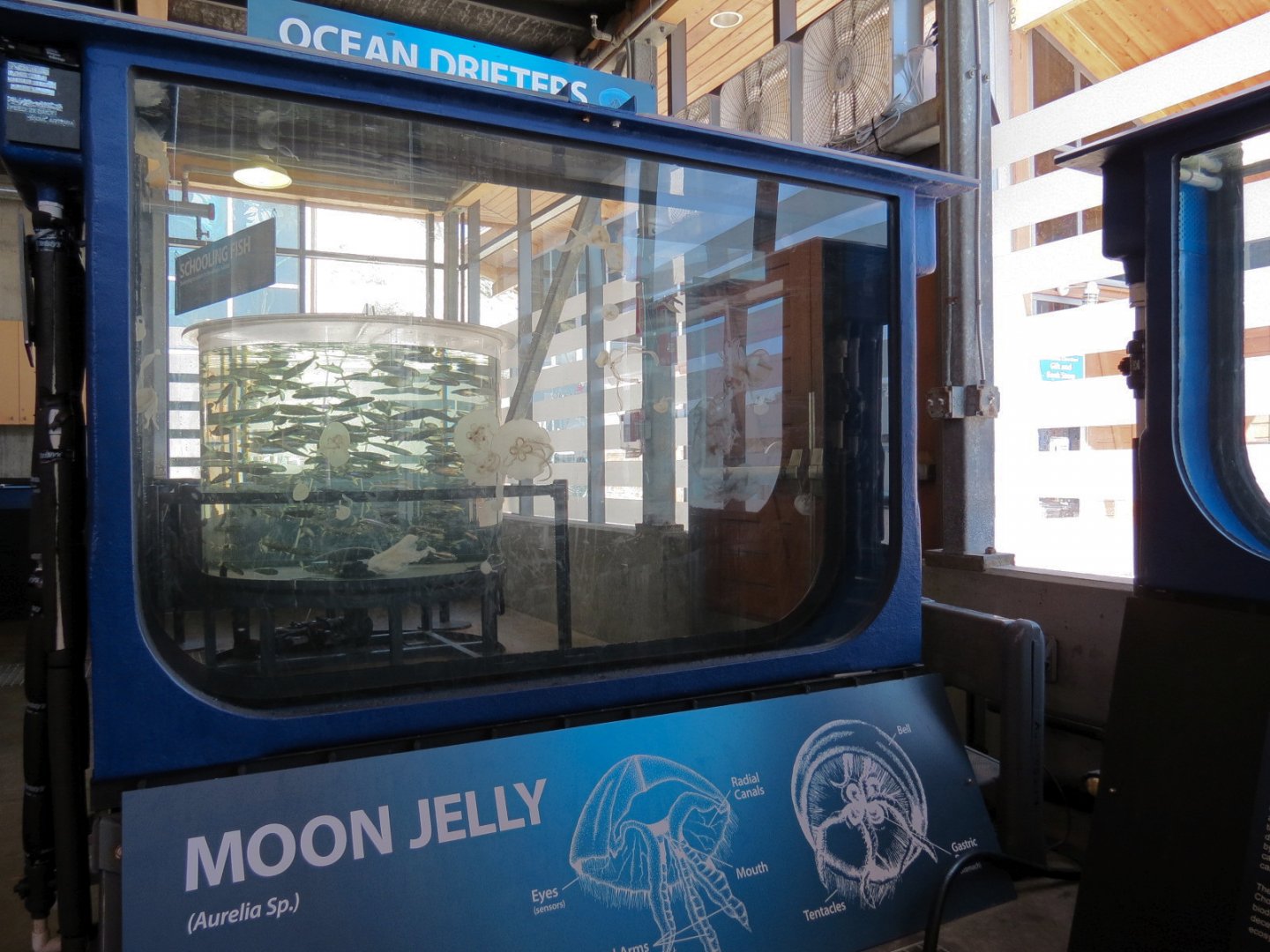 At Sea Building - Live Exhibits