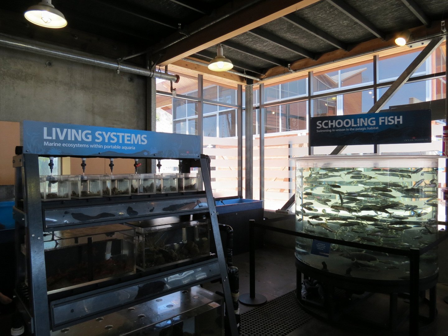 At Sea Building - Live Exhibits