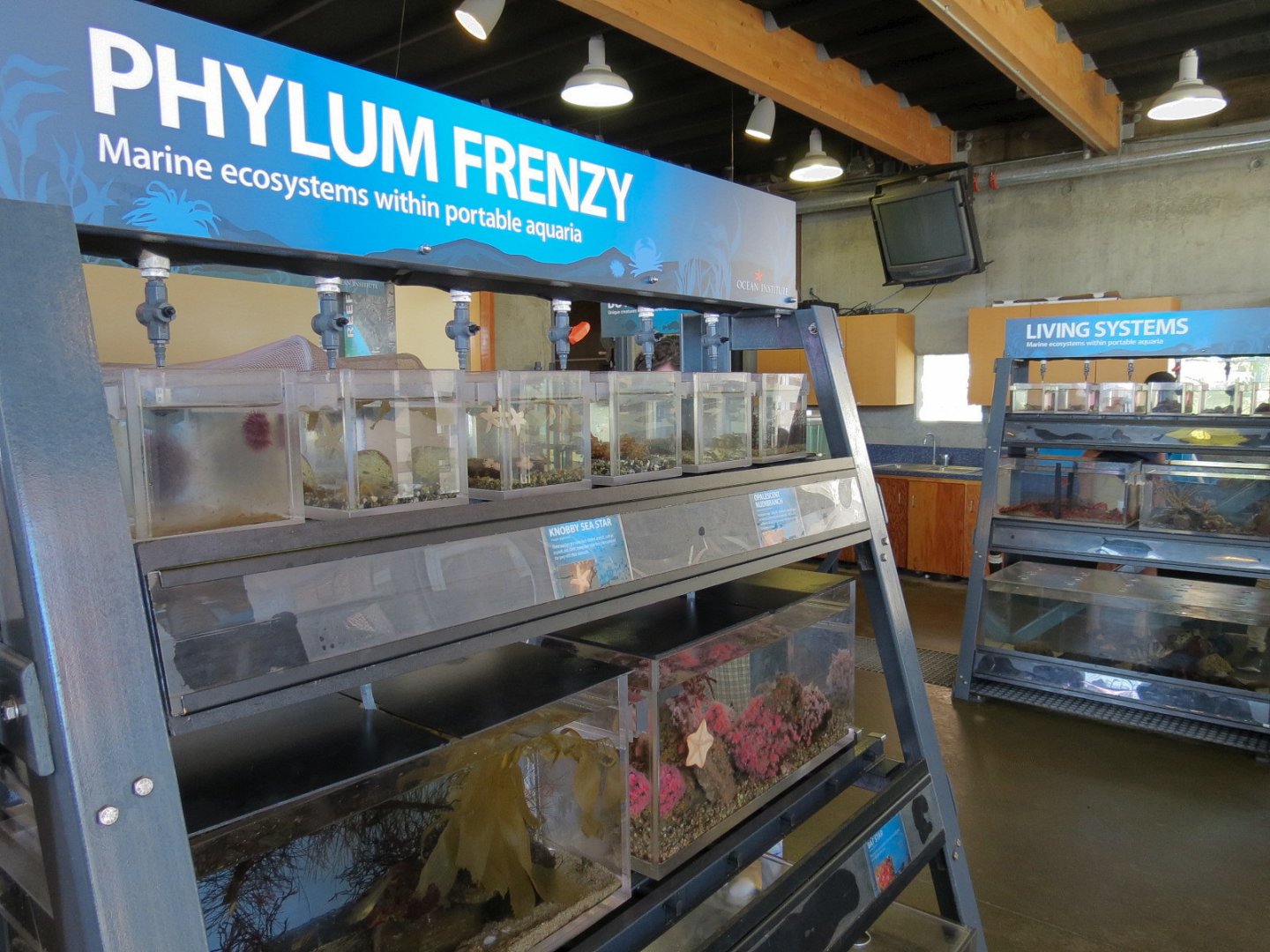 At Sea Building - Live Exhibits