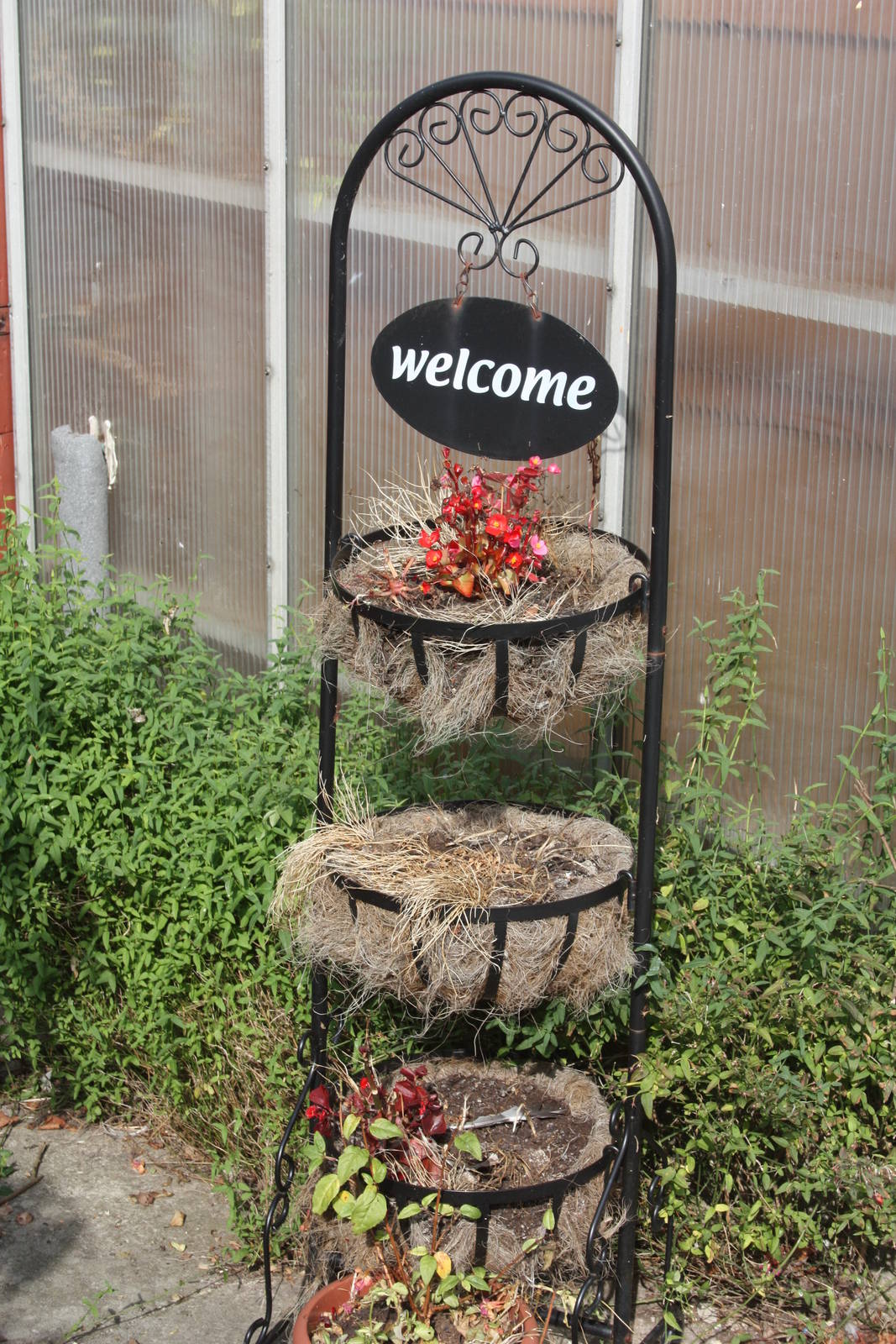 At the entrance, 23rd September 2014