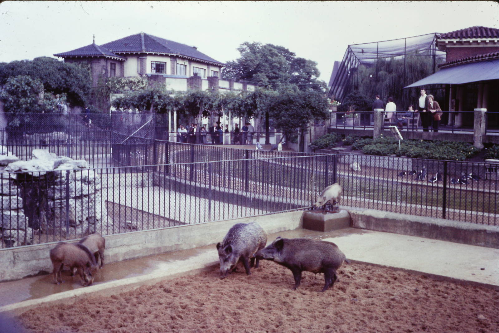 At the foot of the Mappins, September 1965