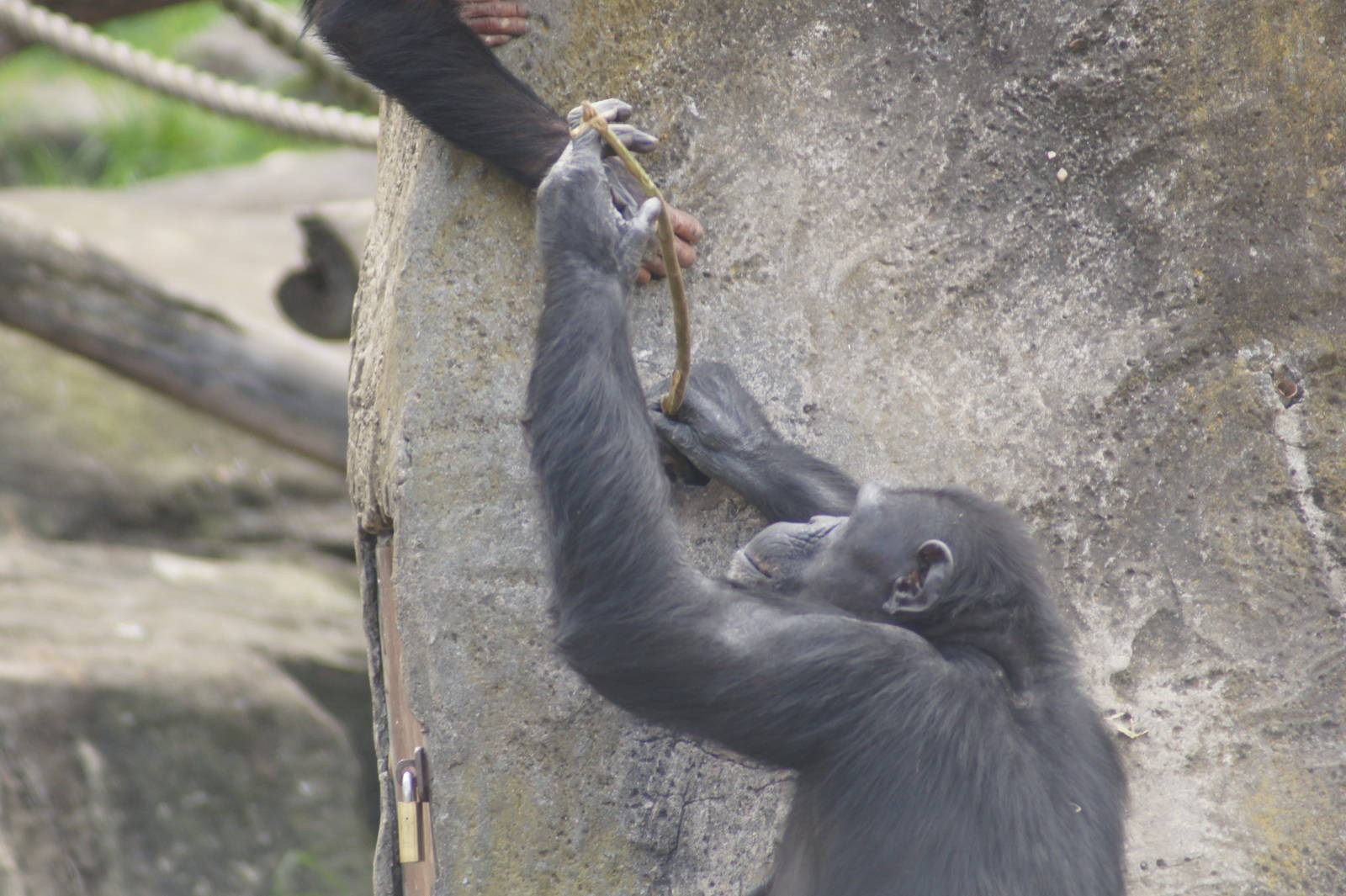 At the termite mound
