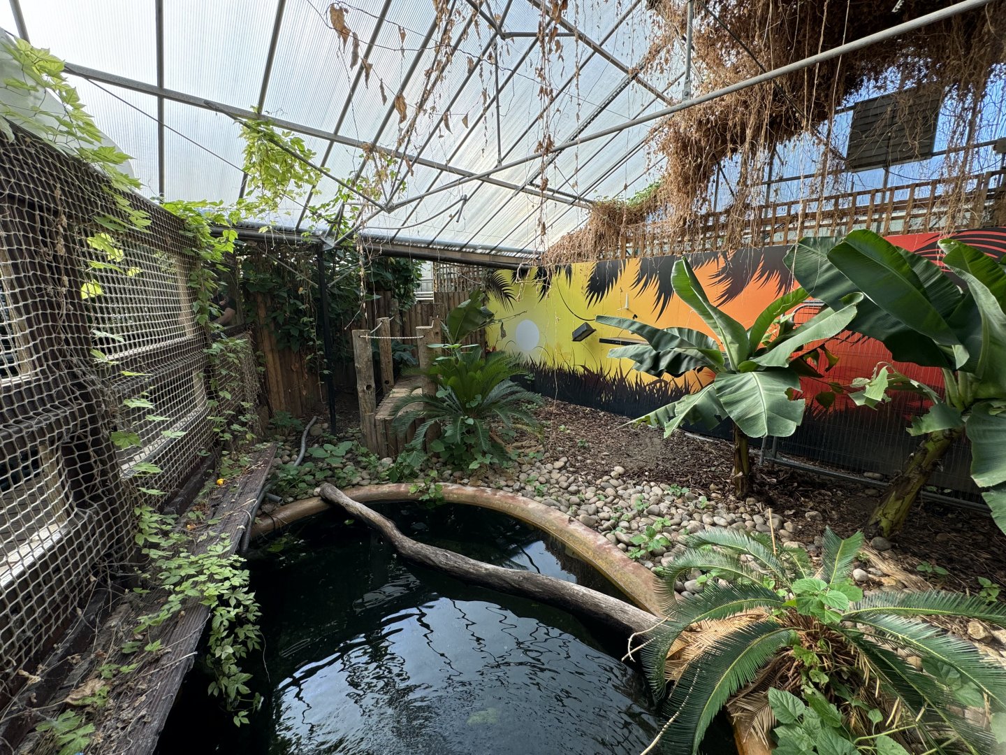 at Tropical World (October 2024)