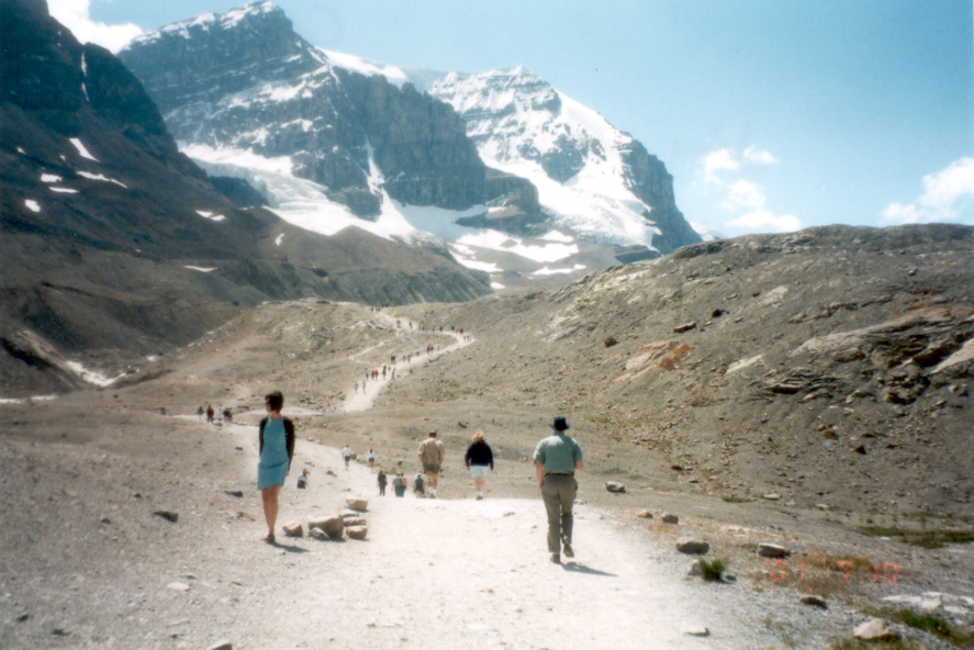 Athabasca Glacier moraine, July 2001