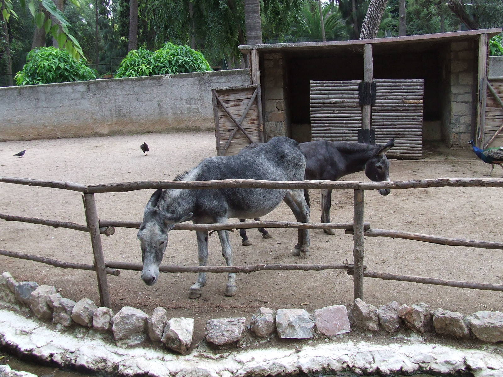 Athens - Former Royal Menagerie