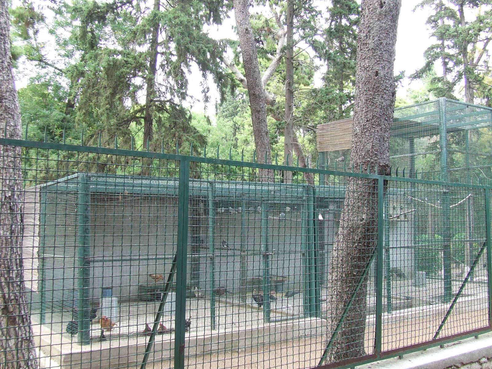 Athens - Former Royal Menagerie