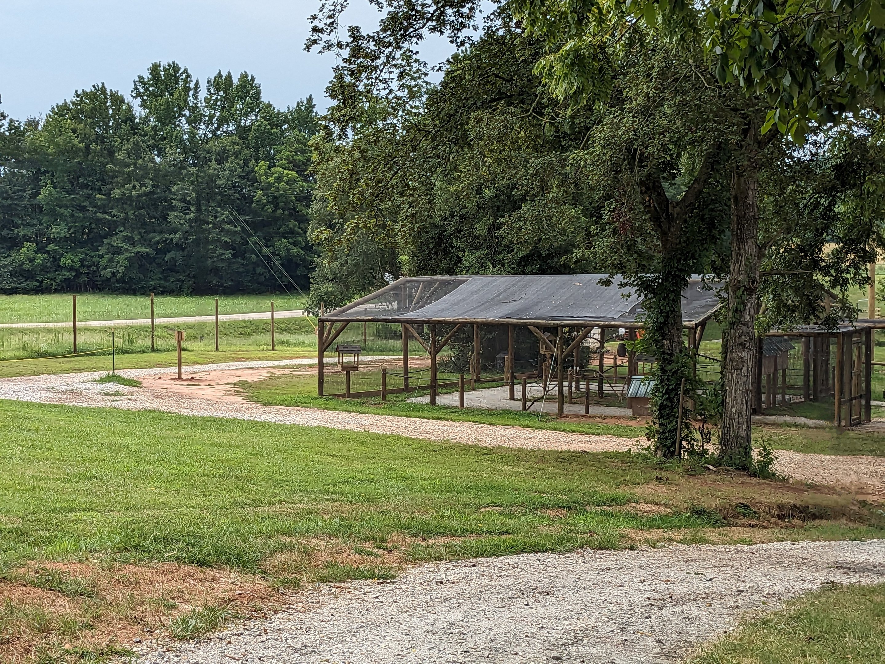 Atlanta Safari Park - Walk through area budgie aviary