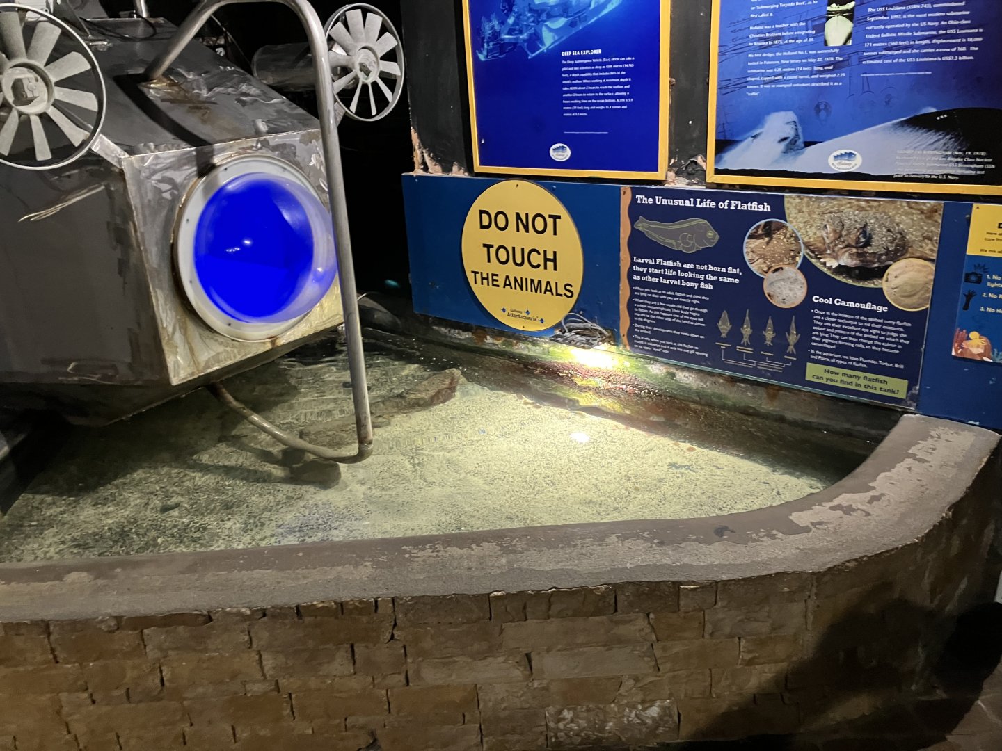 Atlantaquaria Galway-Flatfish tank