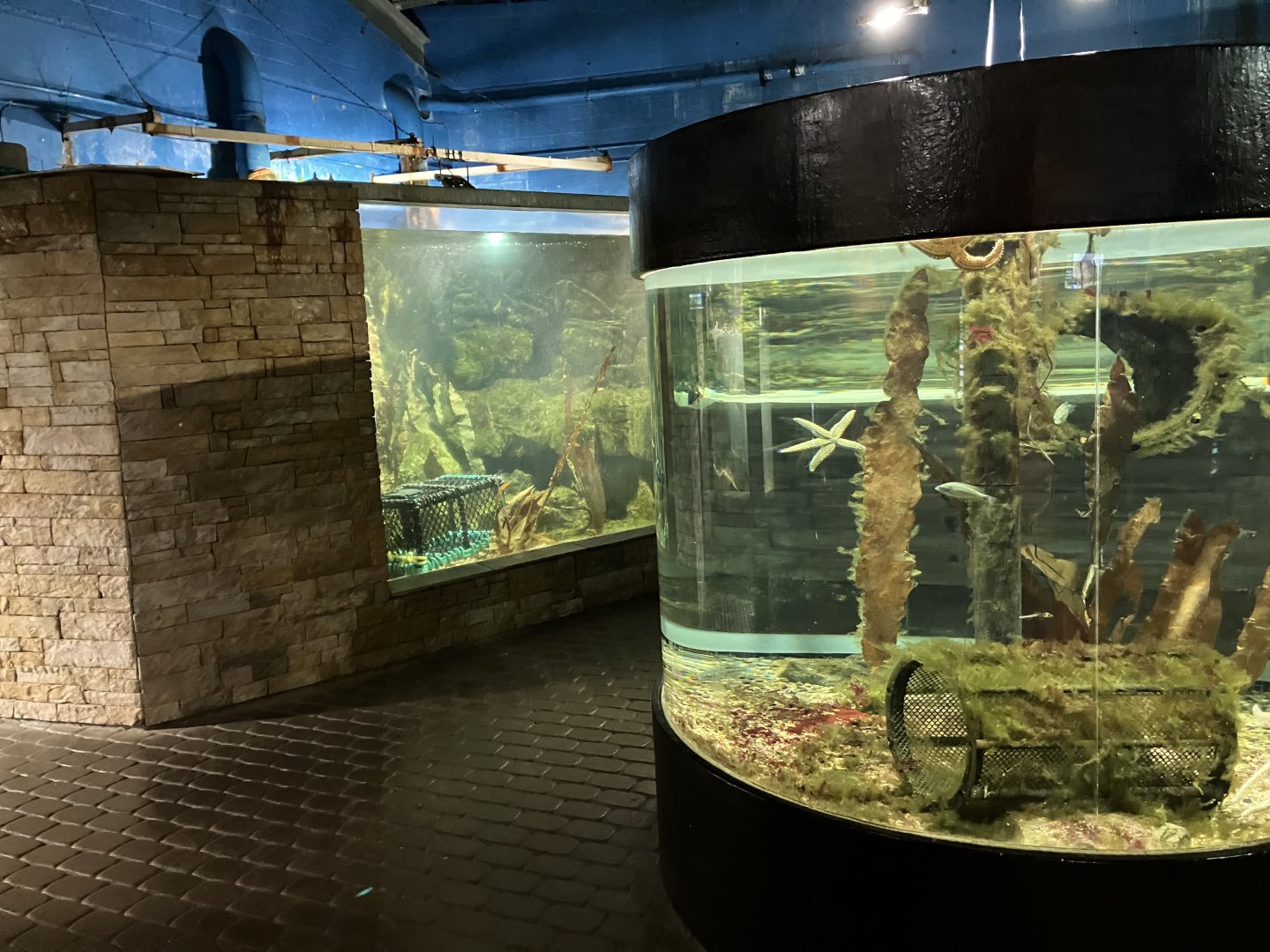 Atlantaquaria Galway-General view