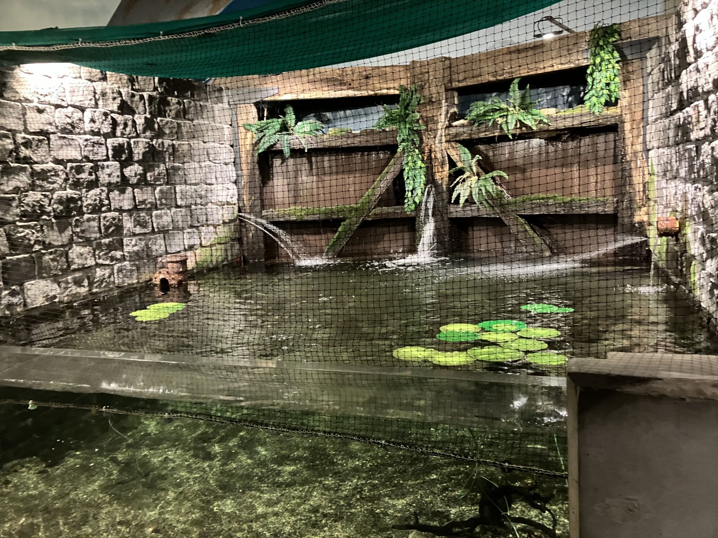 Atlantaquaria Galway-Pike tank