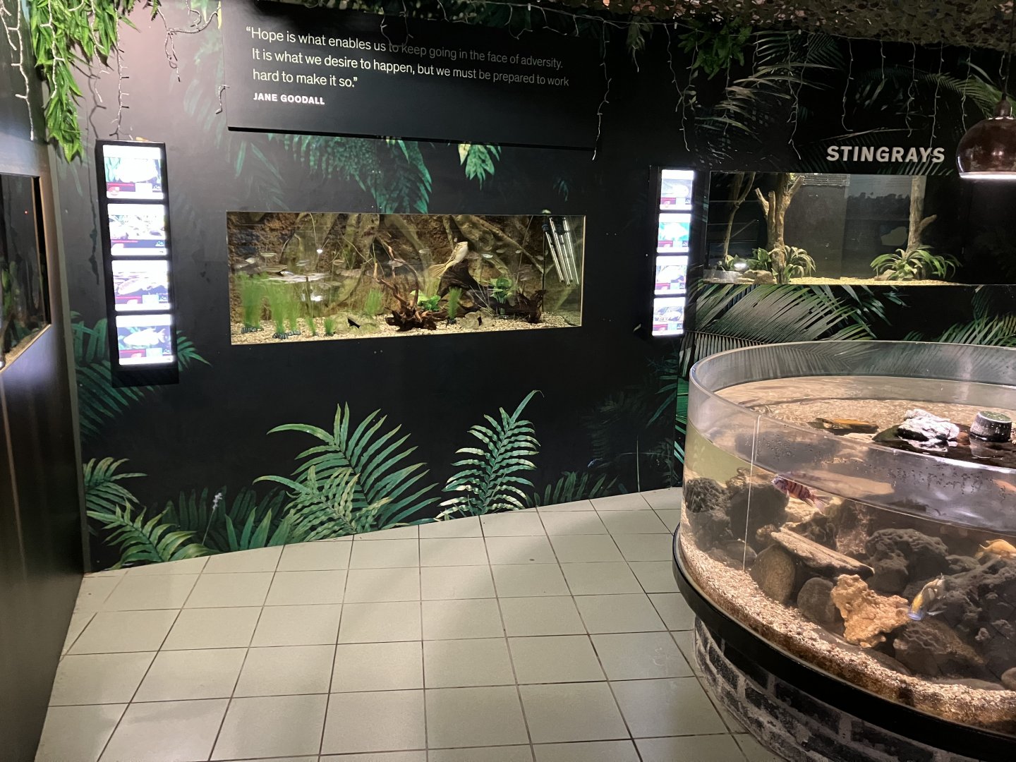 Atlantaquaria Galway-Tropical section