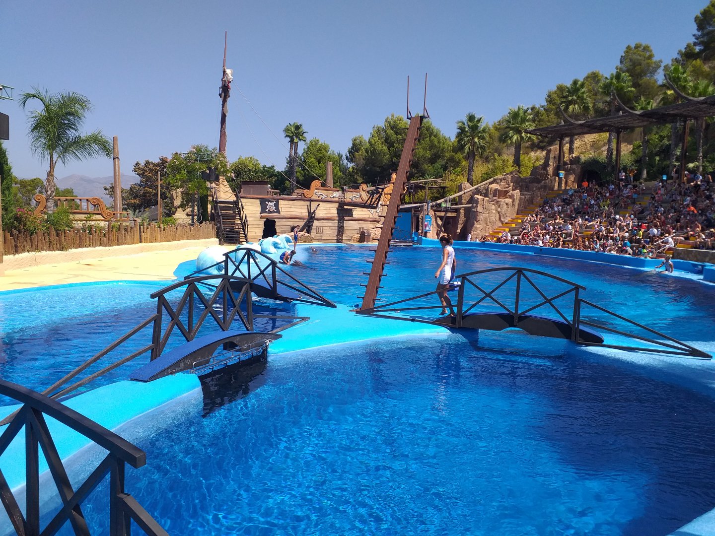 Atlantic bottlenose dolphin exhibit -MundoMar Benidorm (2021)