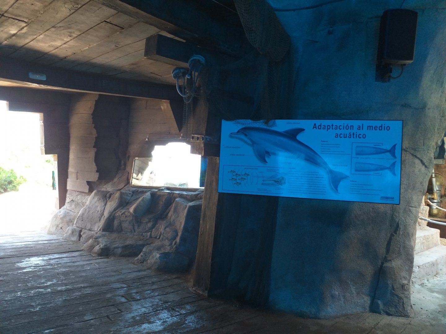 Atlantic bottlenose dolphin sign -MundoMar Benidorm (2021)