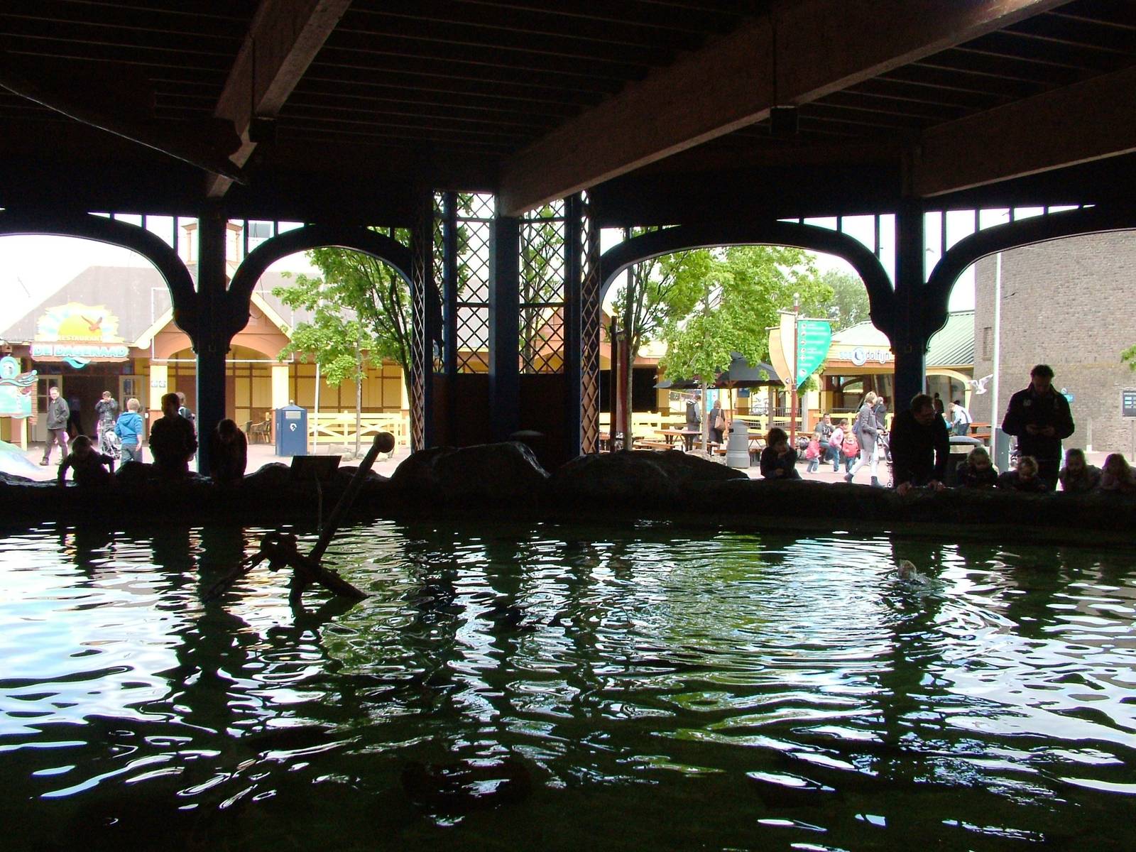 Atlantic Fishes Exhibit at Harderwijk, 01/06/12
