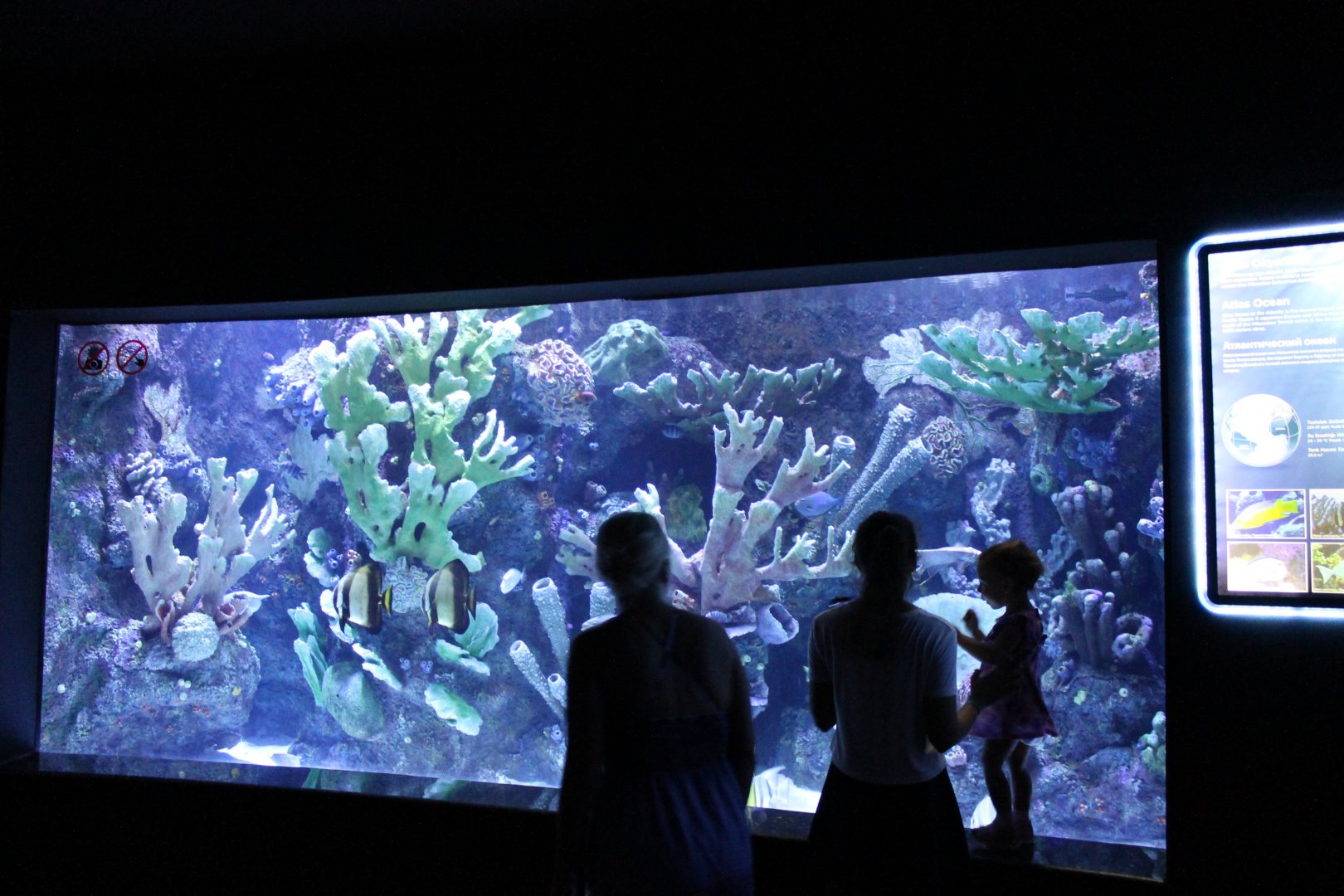 Atlantic Ocean-aquarium