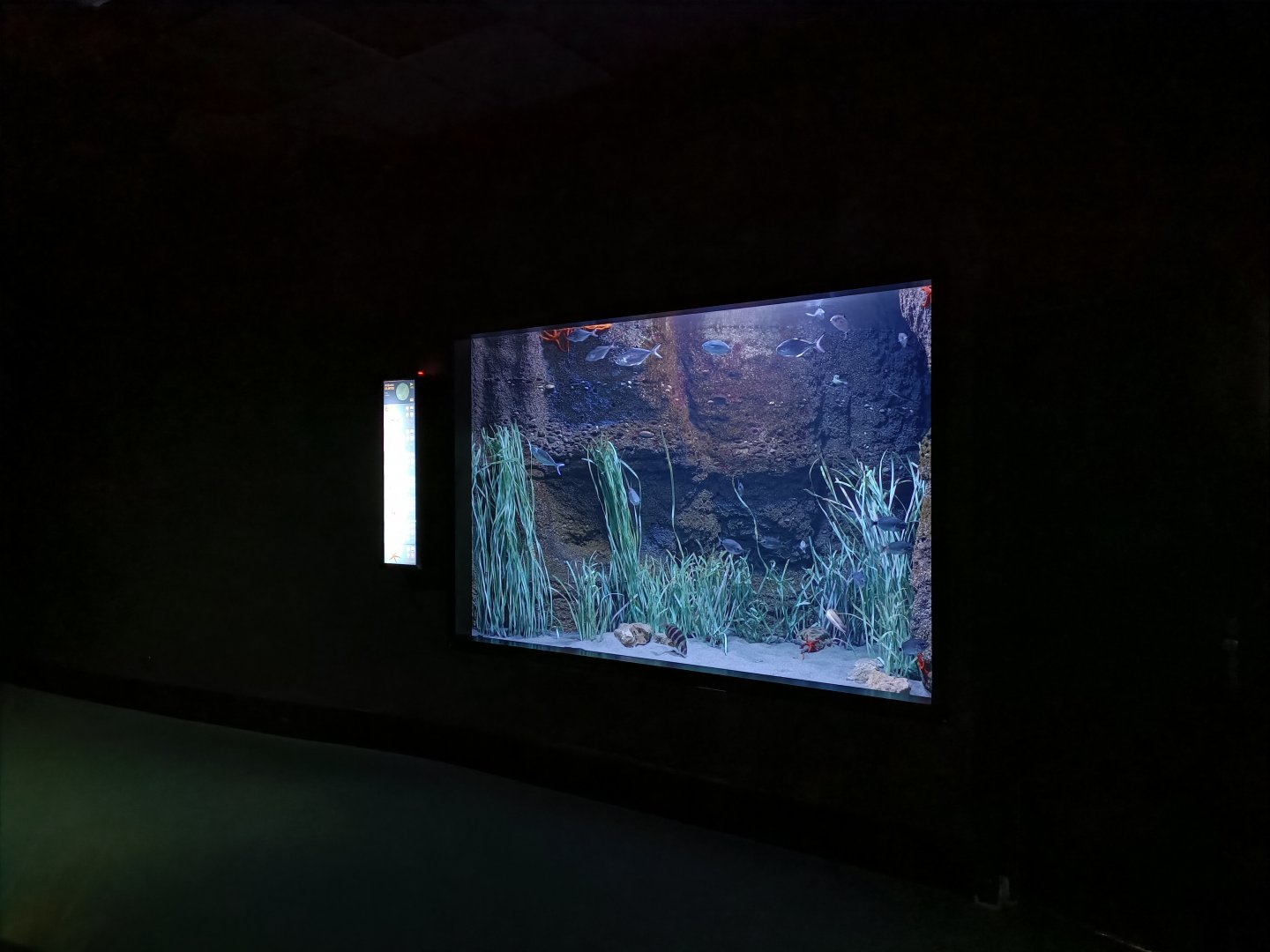 Atlantic ocean exhibit - Bioparc Acuario de Gijón