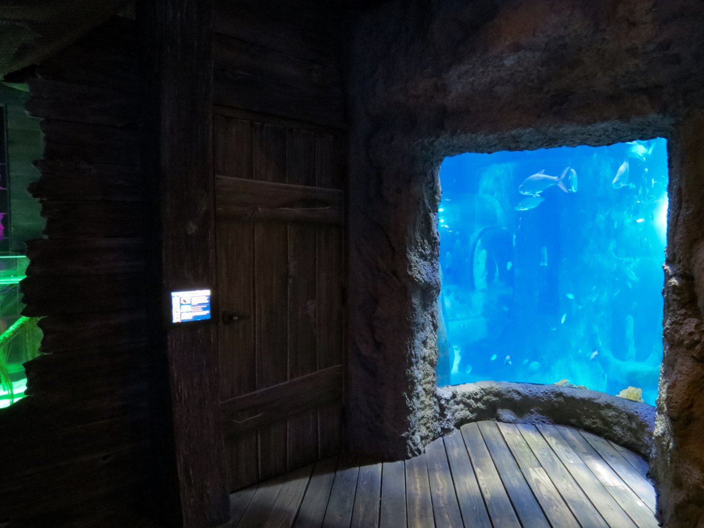 Atlantic Ocean Exhibit