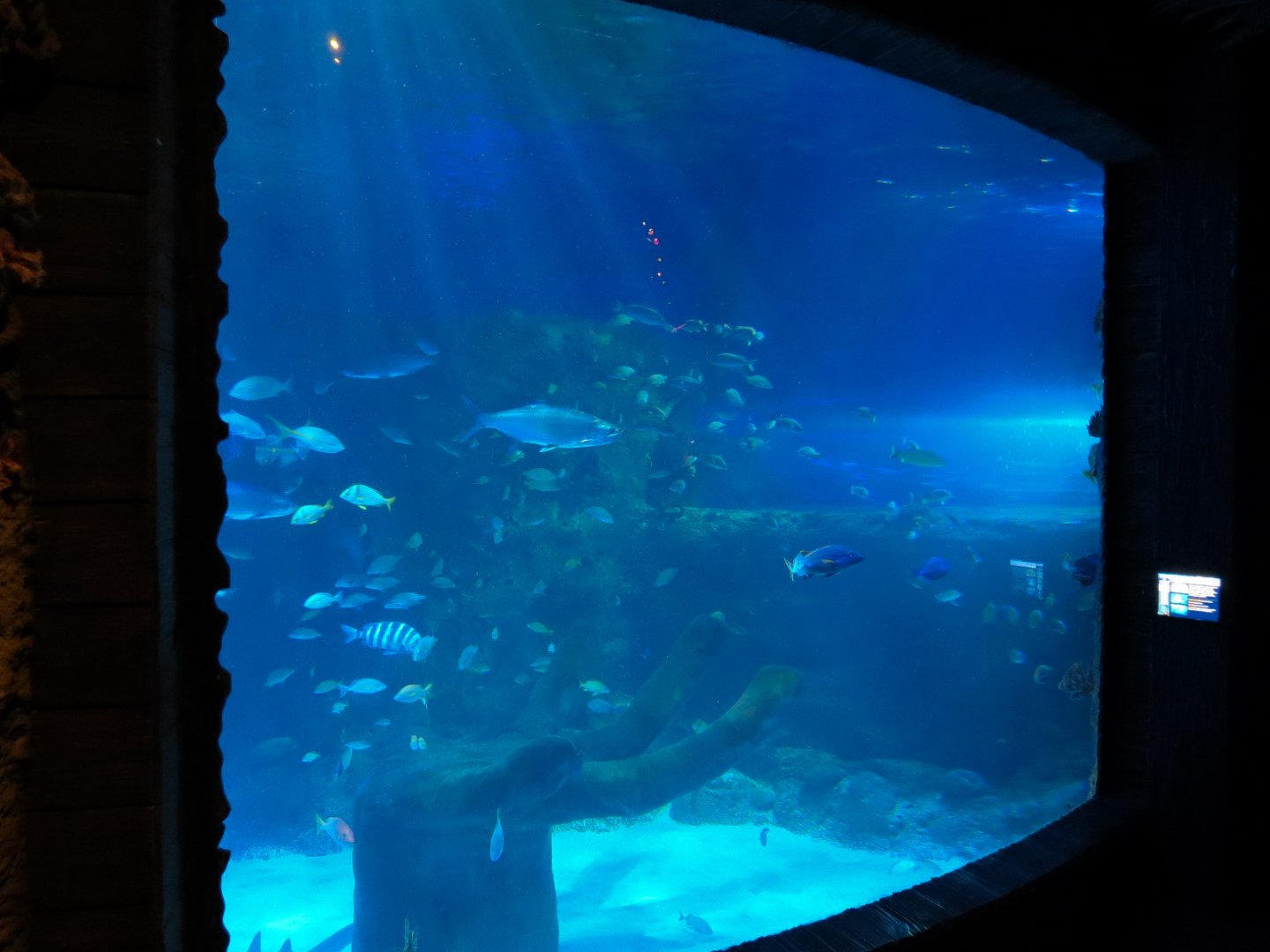 Atlantic Ocean Exhibit