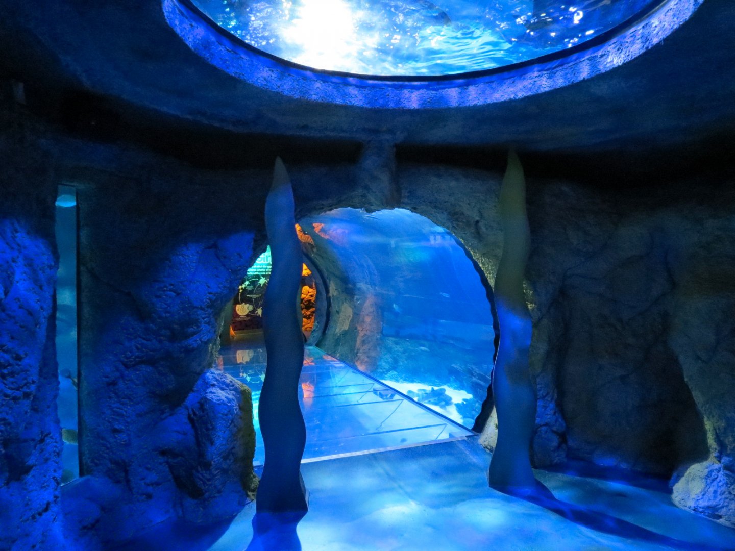 Atlantic Ocean Exhibit