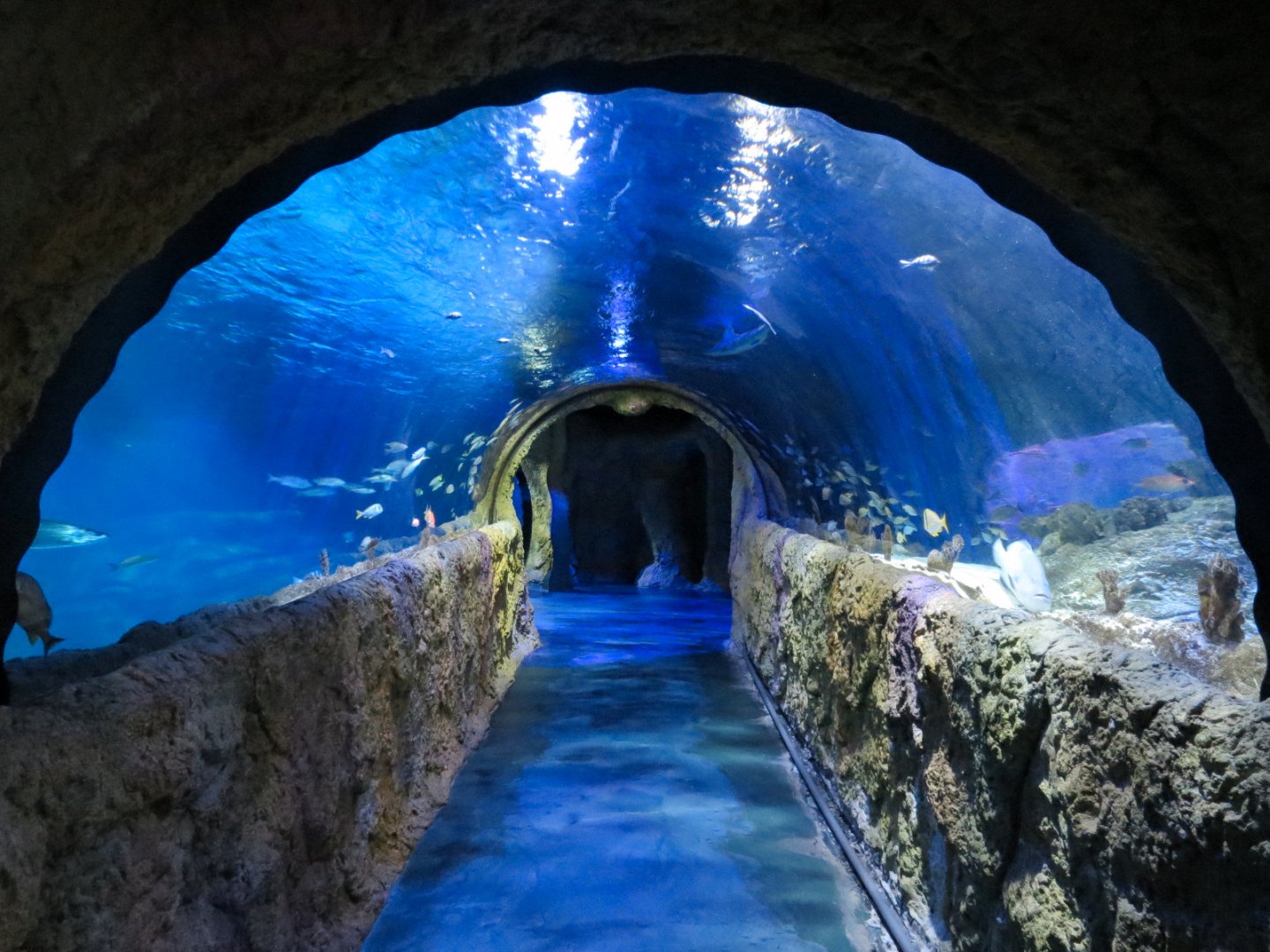 Atlantic Ocean Exhibit