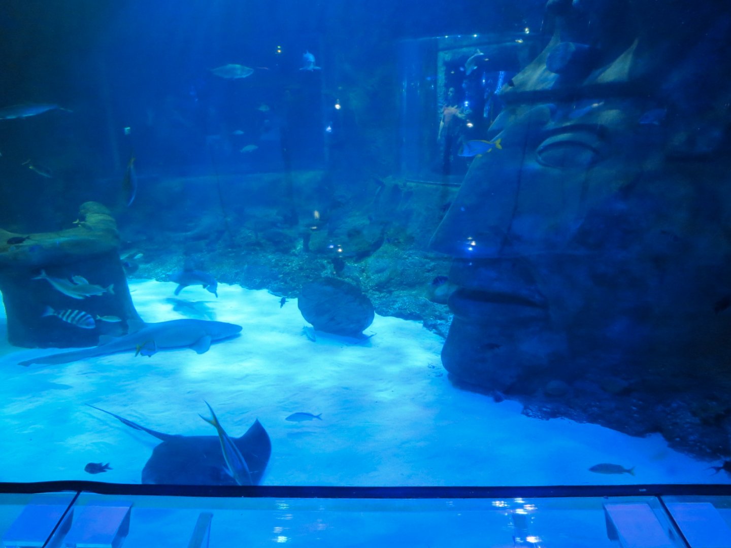 Atlantic Ocean Exhibit