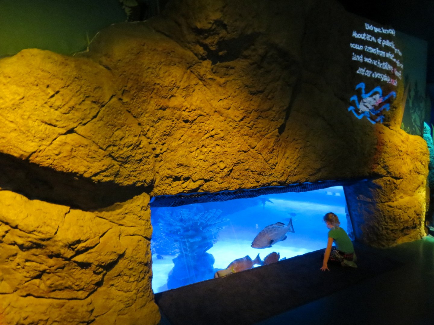 Atlantic Ocean Exhibit