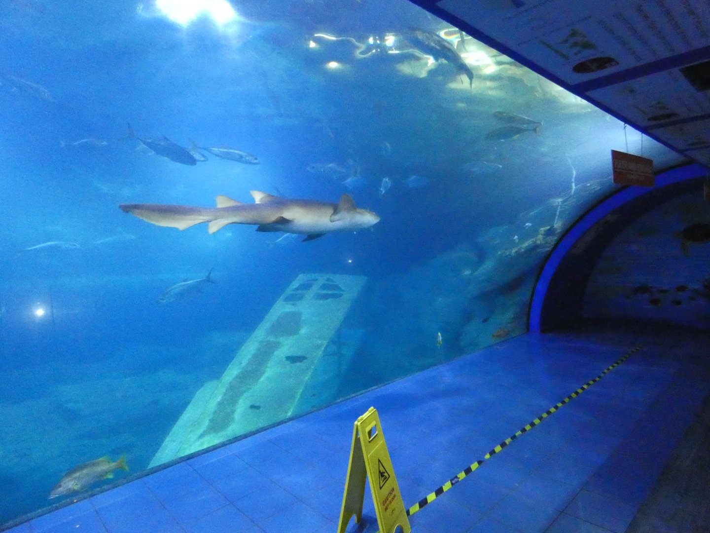 Atlantic Ocean exhibit