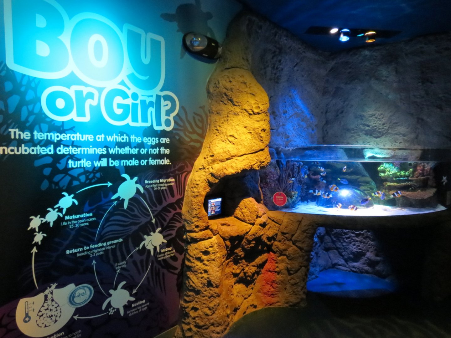 Atlantic Ocean Exhibits