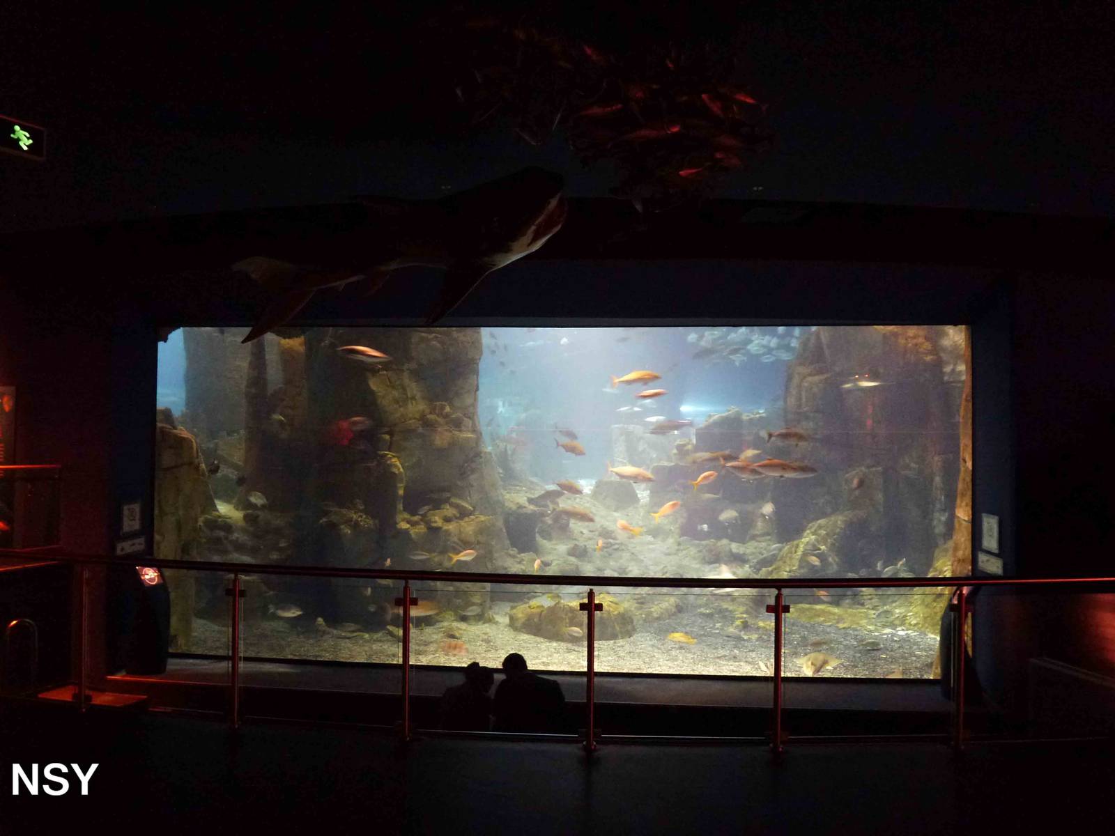 Atlantic Ocean, June 2013.