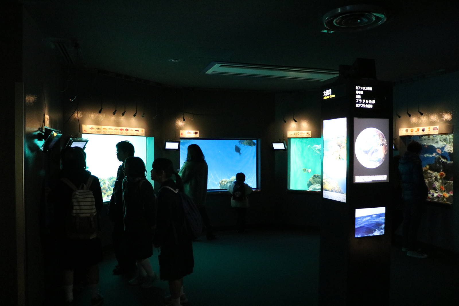 Atlantic ocean tanks - Tokyo Sea Life Park, February 2016