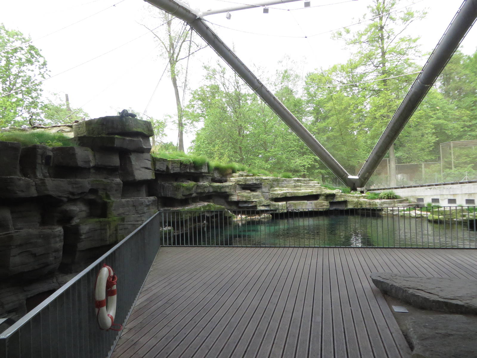 Atlantic puffin aviary