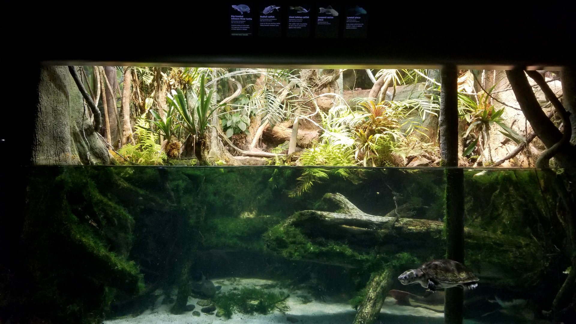 Atlantic River Basin