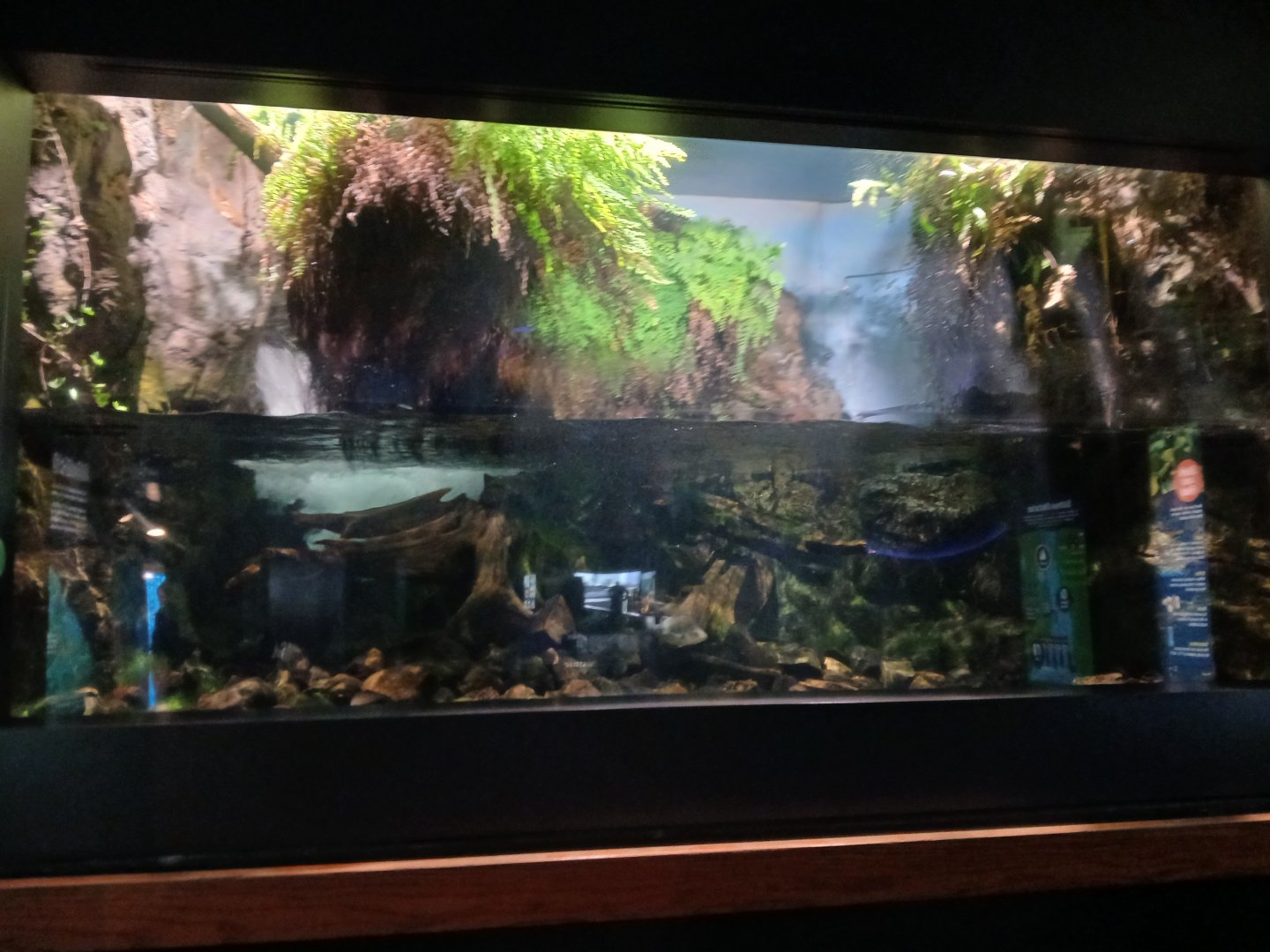 Atlantic Salmon Enclosure - Seen Jan 29 2025