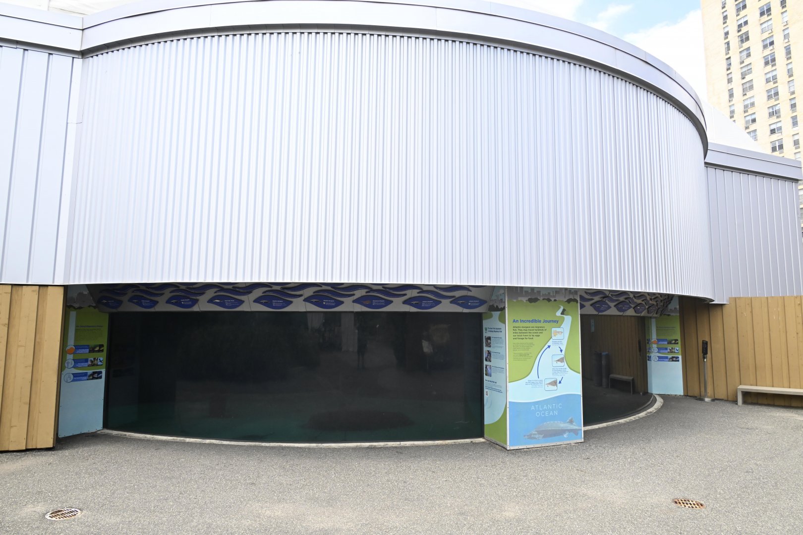 Atlantic Sturgeon Tank