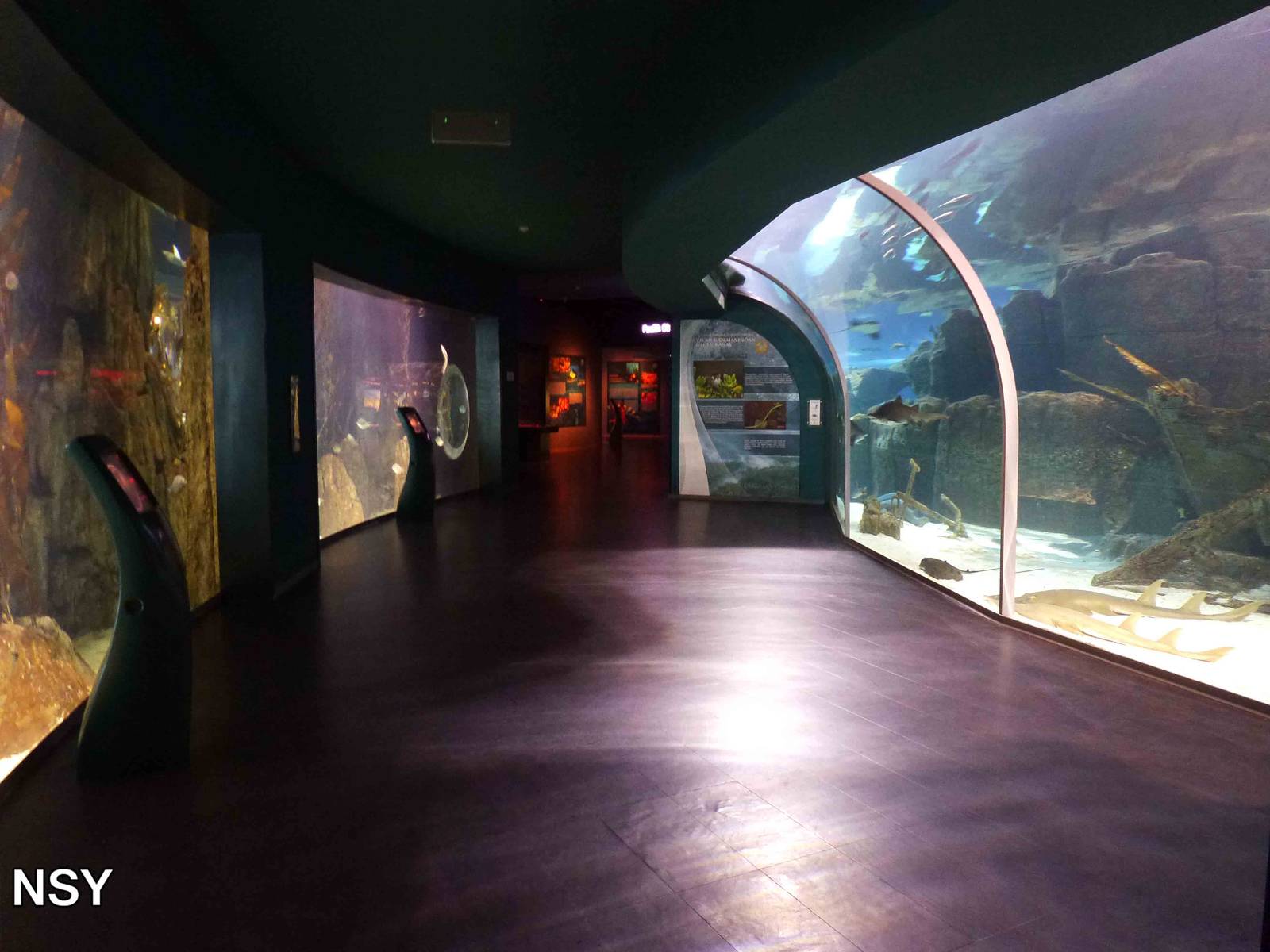 Atlantic - with the Panama canal, June 2013.