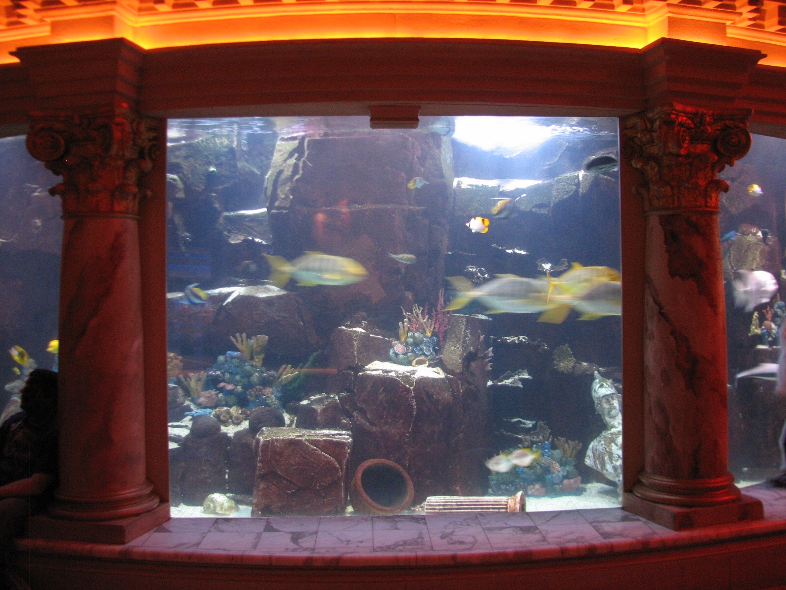 Atlantis Aquarium in Forum Shops at Caesar's Palace in Las Vegas