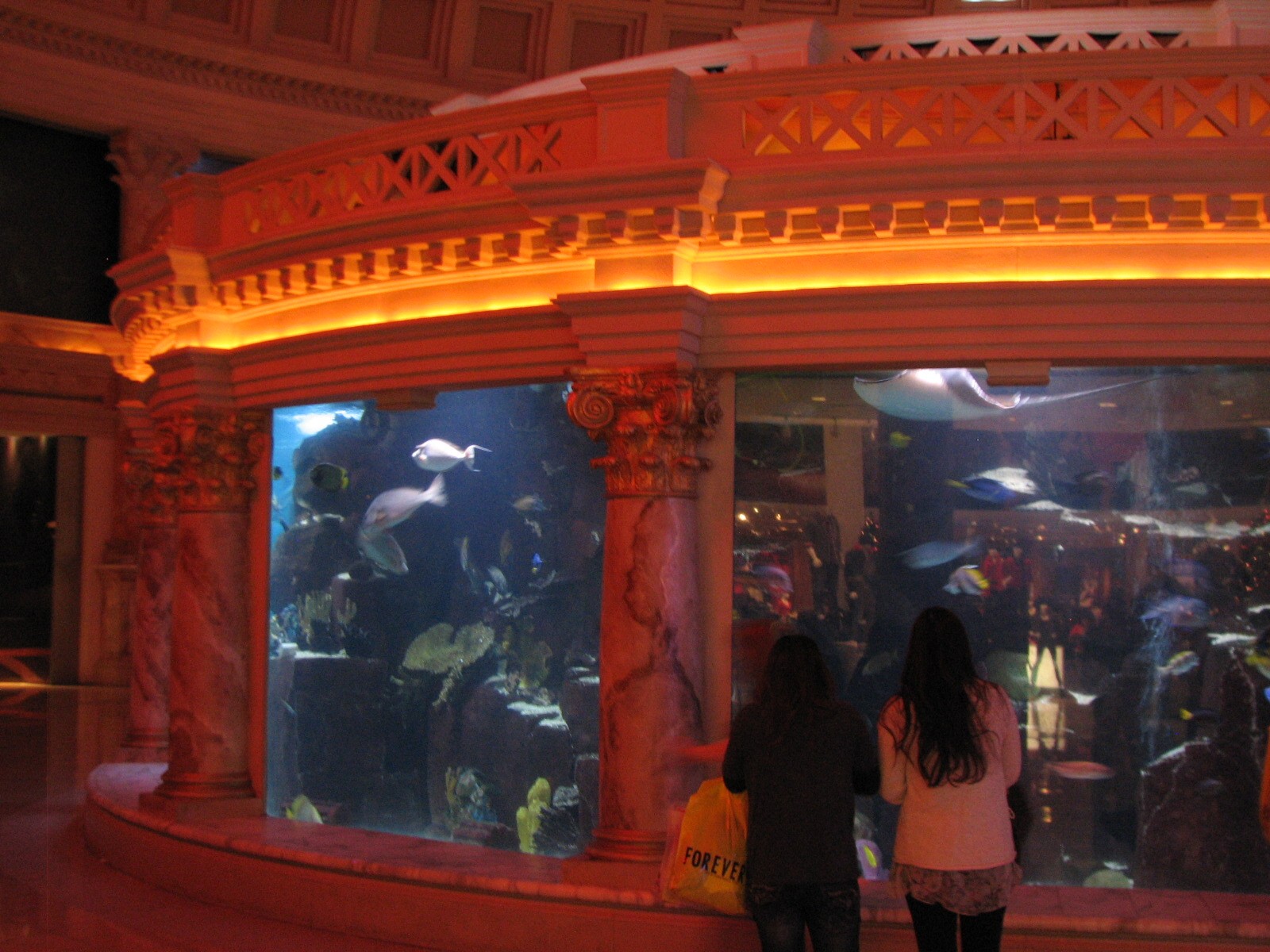 Atlantis Aquarium in Forum Shops at Caesar's Palace in Las Vegas