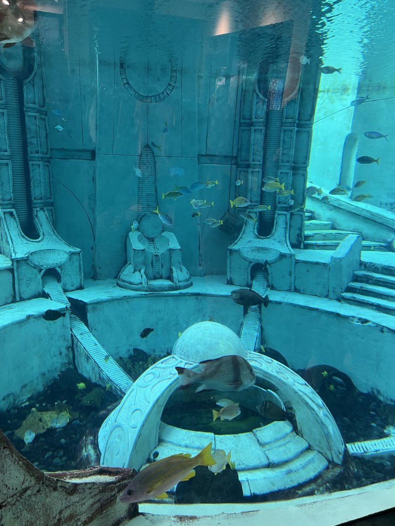 Atlantis Aquarium