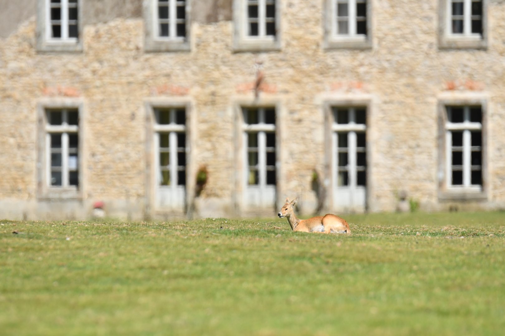 Atmosphere around Branféré castle