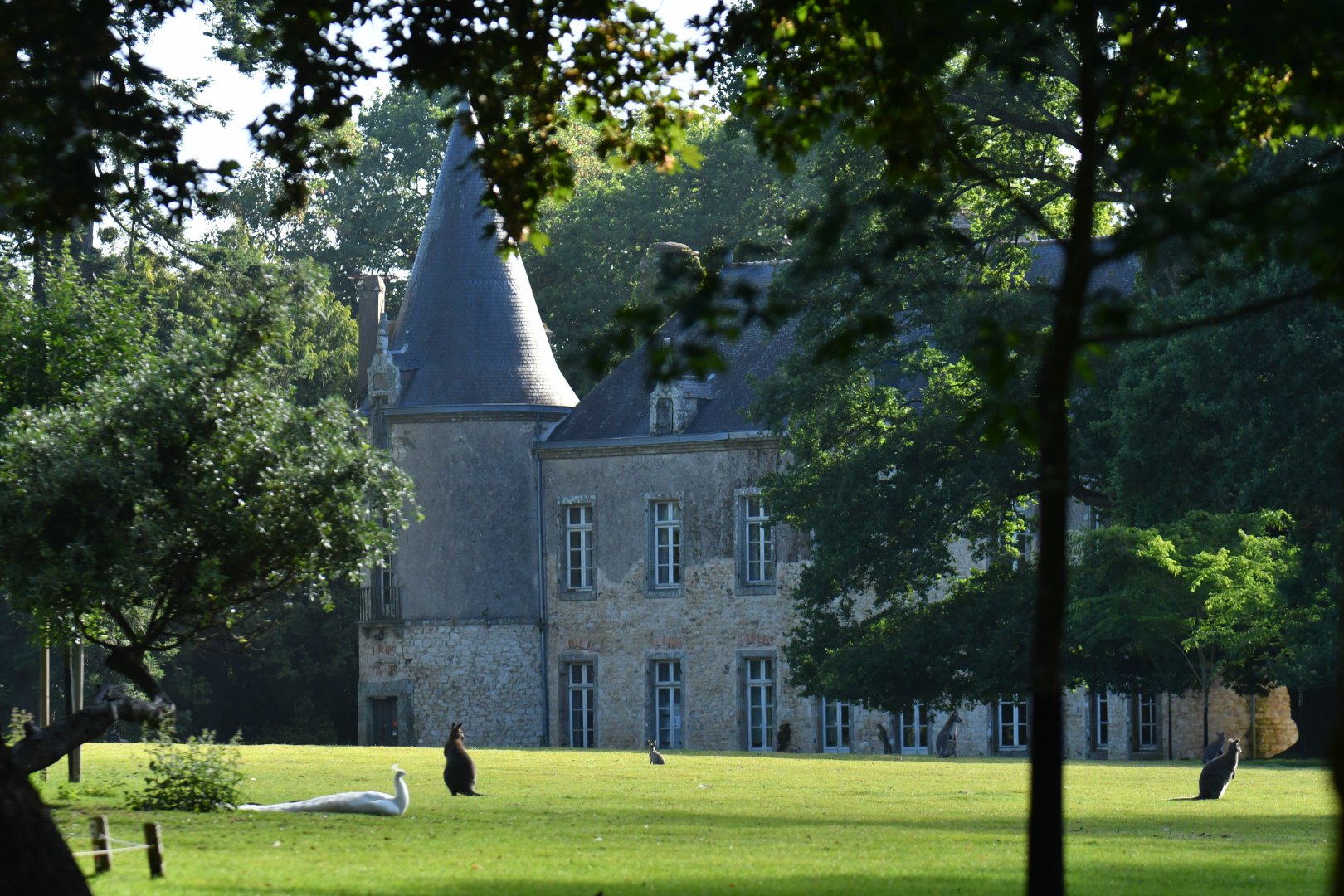 Atmosphere around Branféré castle