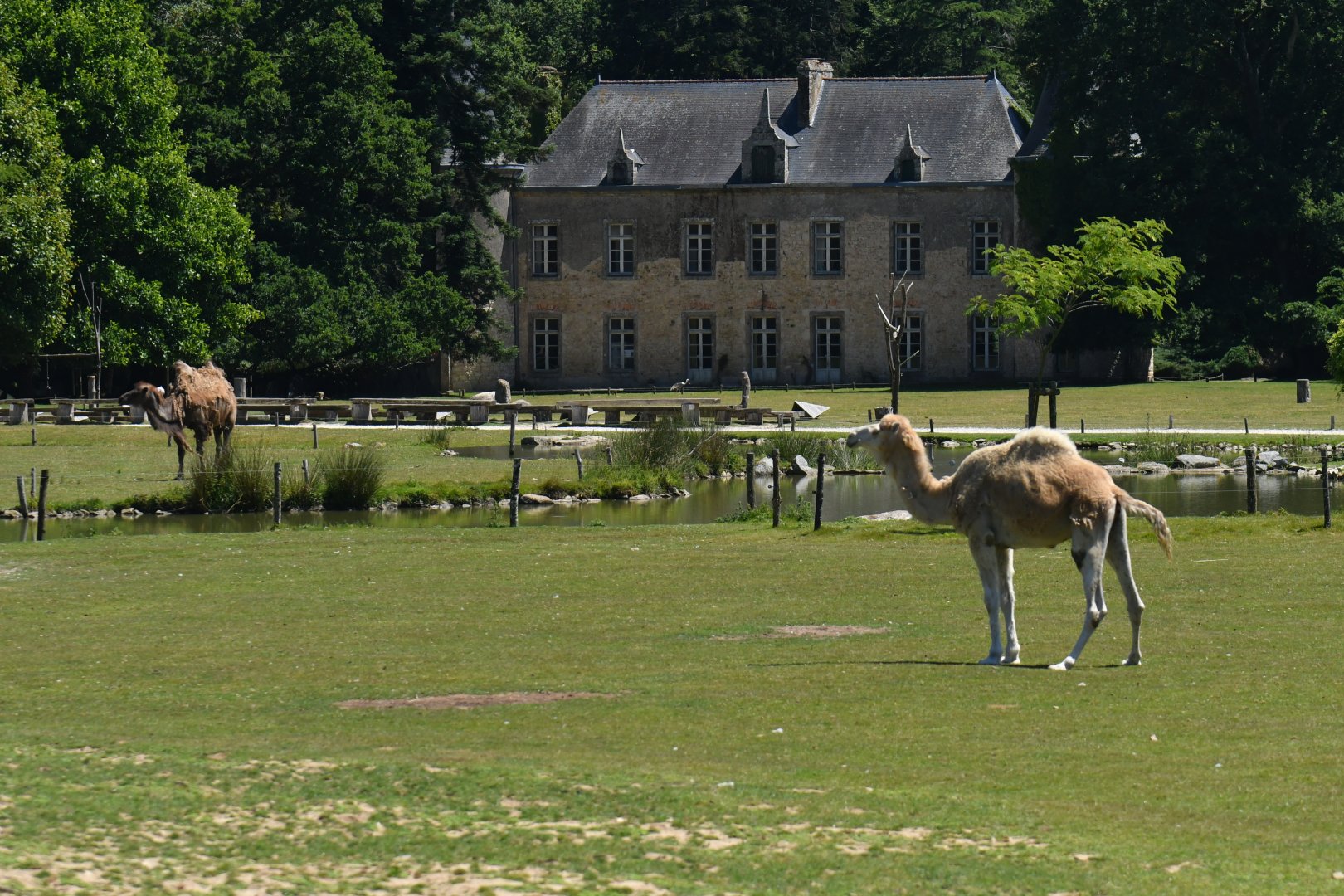 Atmosphere around Branféré castle