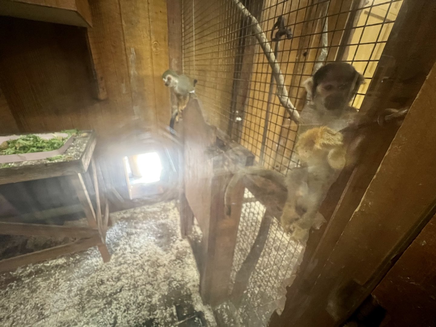 Attempting to manipulate lock.