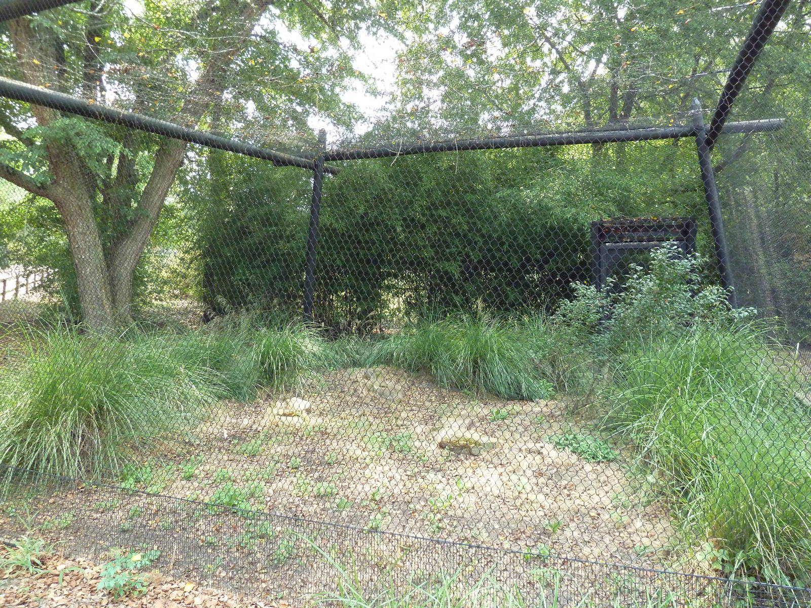 Attwater's Prairie Chicken Exhibit