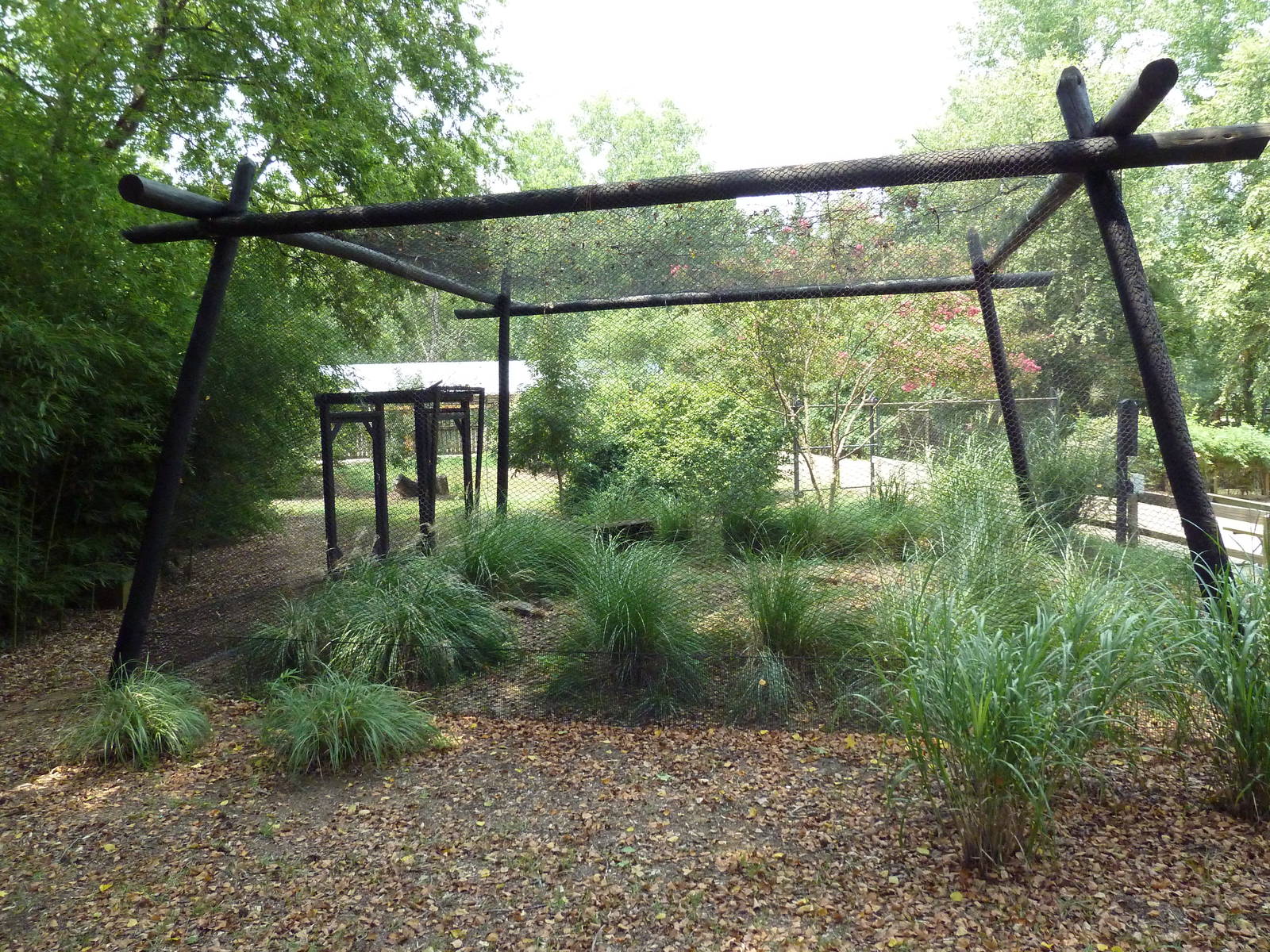 Attwater's Prairie Chicken Exhibit