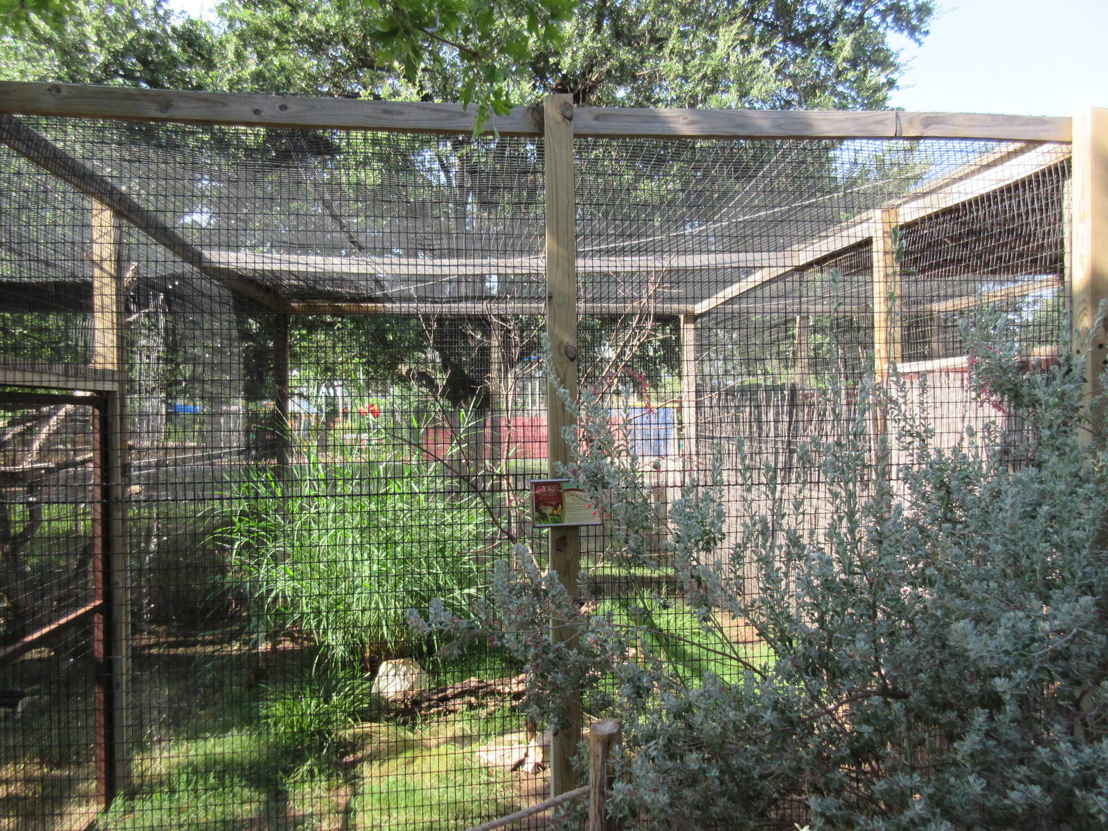 Attwater's Prairie Chicken Exhibit