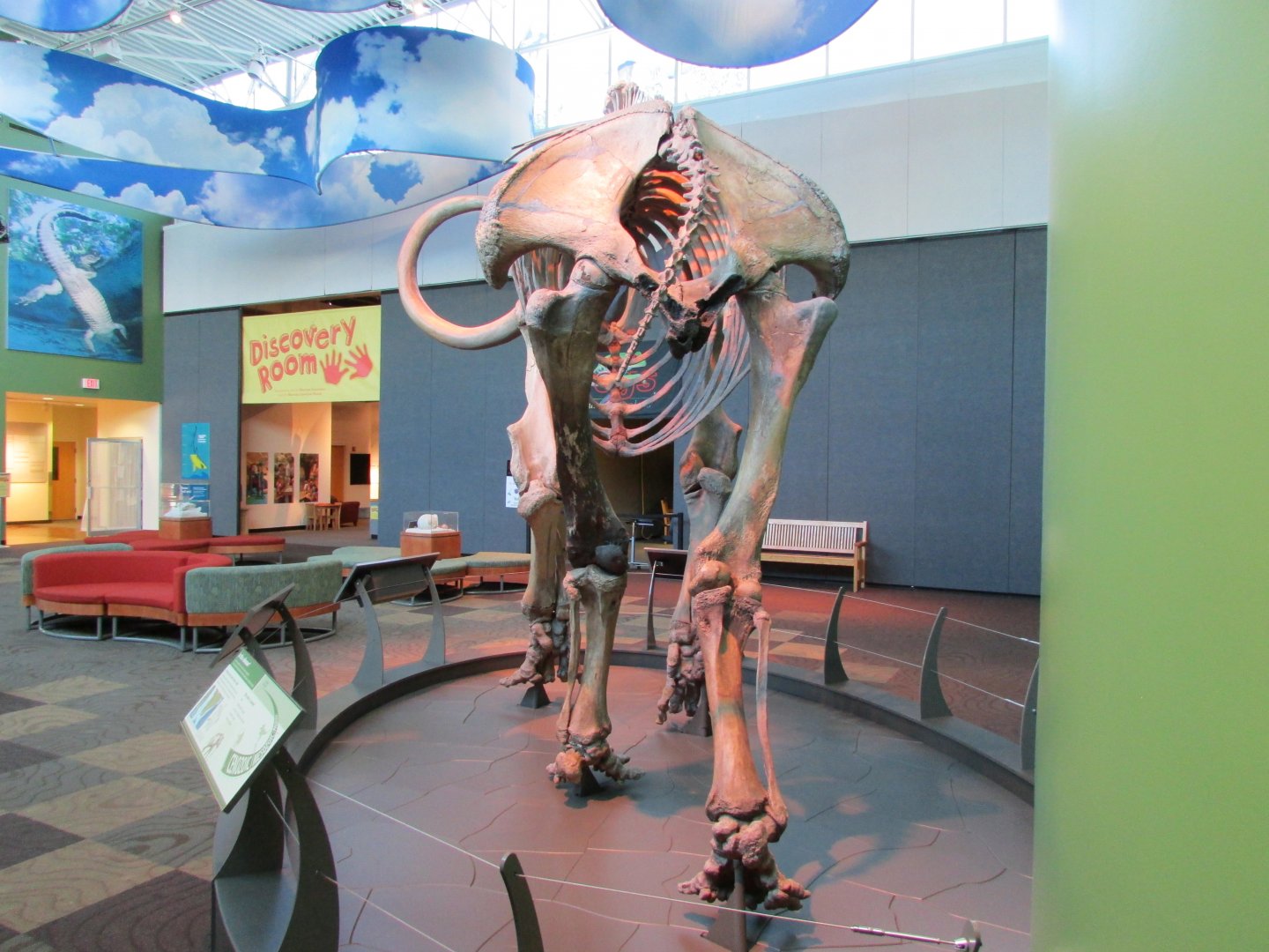Aucilla Mammoth