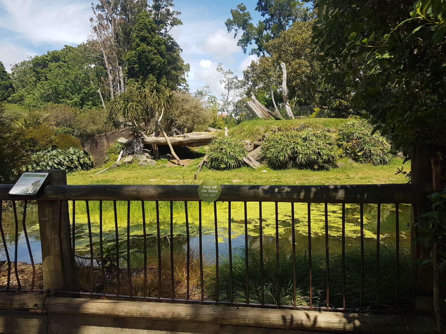 Auckland Zoo | African Lion Enclosure