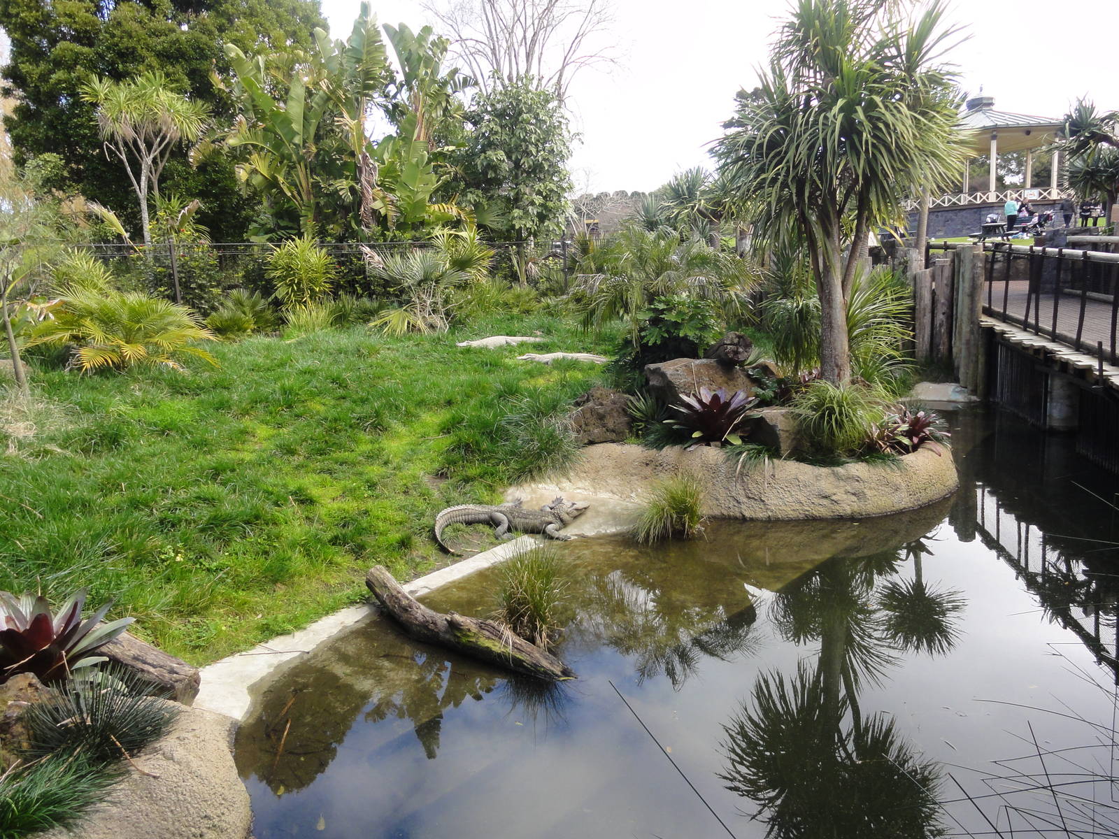 Auckland Zoo: circa 2011